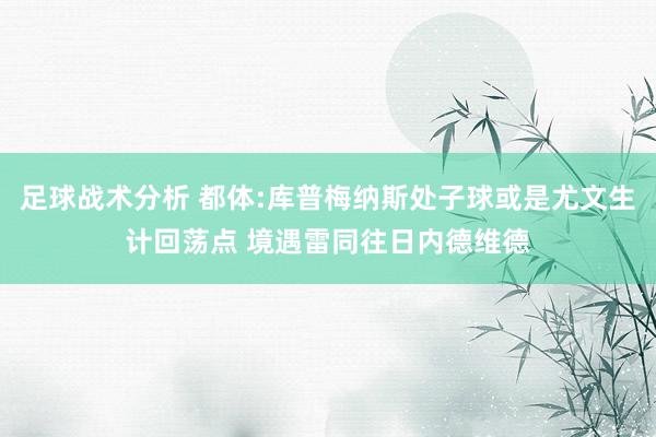 足球战术分析 都体:库普梅纳斯处子球或是尤文生计回荡点 境遇雷同往日内德维德