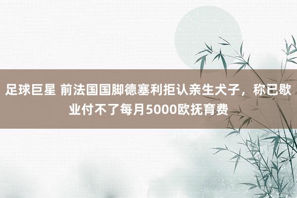 足球巨星 前法国国脚德塞利拒认亲生犬子，称已歇业付不了每月5000欧抚育费