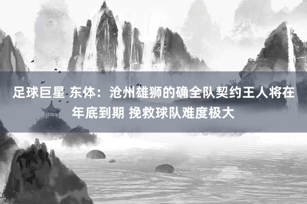 足球巨星 东体：沧州雄狮的确全队契约王人将在年底到期 挽救球队难度极大