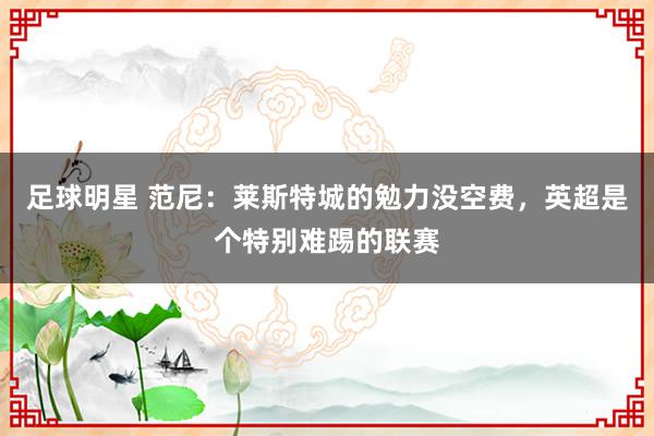 足球明星 范尼：莱斯特城的勉力没空费，英超是个特别难踢的联赛