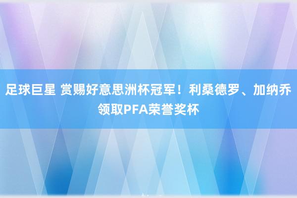 足球巨星 赏赐好意思洲杯冠军！利桑德罗、加纳乔领取PFA荣誉奖杯